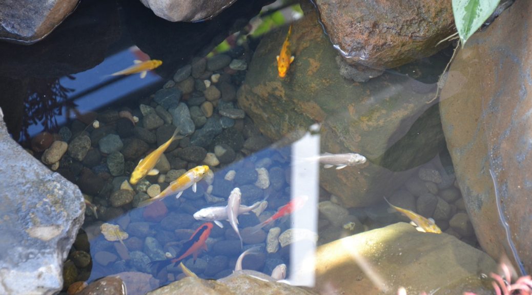 MultiMethod GardenScape