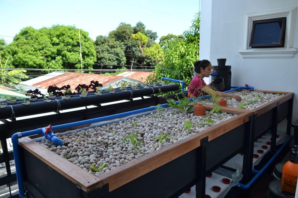 Hybrid Multi-Methods Aquaponics