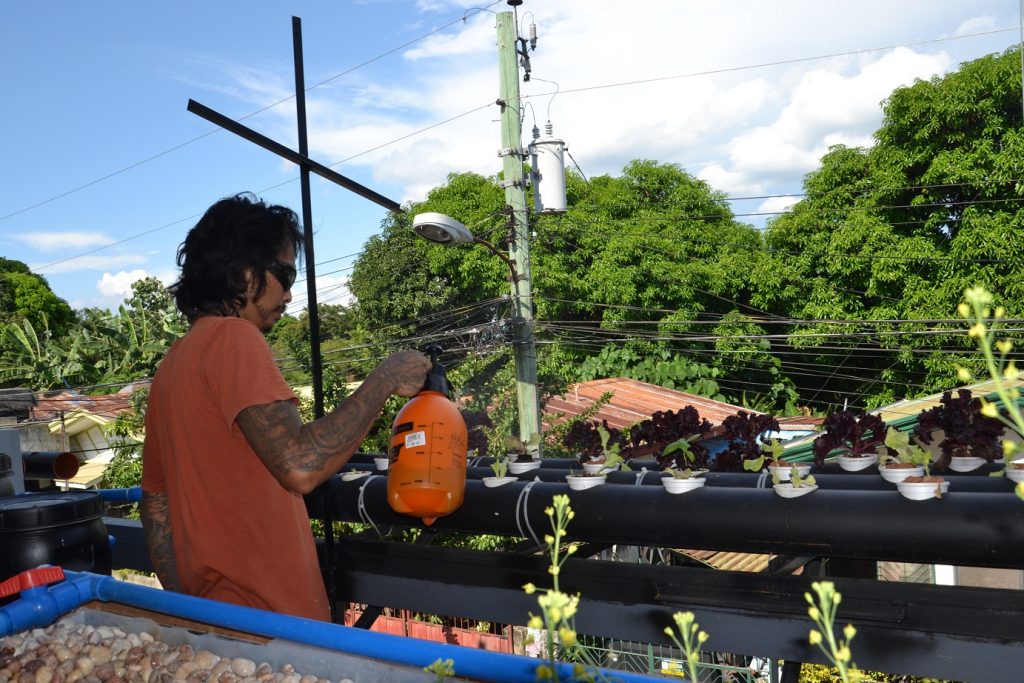 Hybrid Multi-Methods Aquaponics