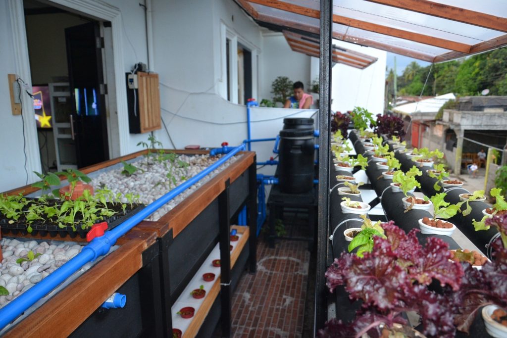 Hybrid Multi-Methods Aquaponics