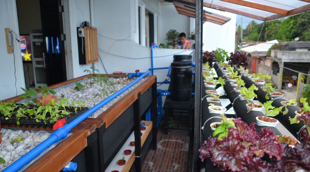 Hybrid Multi-Methods Aquaponics