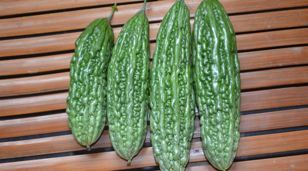 FullOn Grown Bitter Gourd