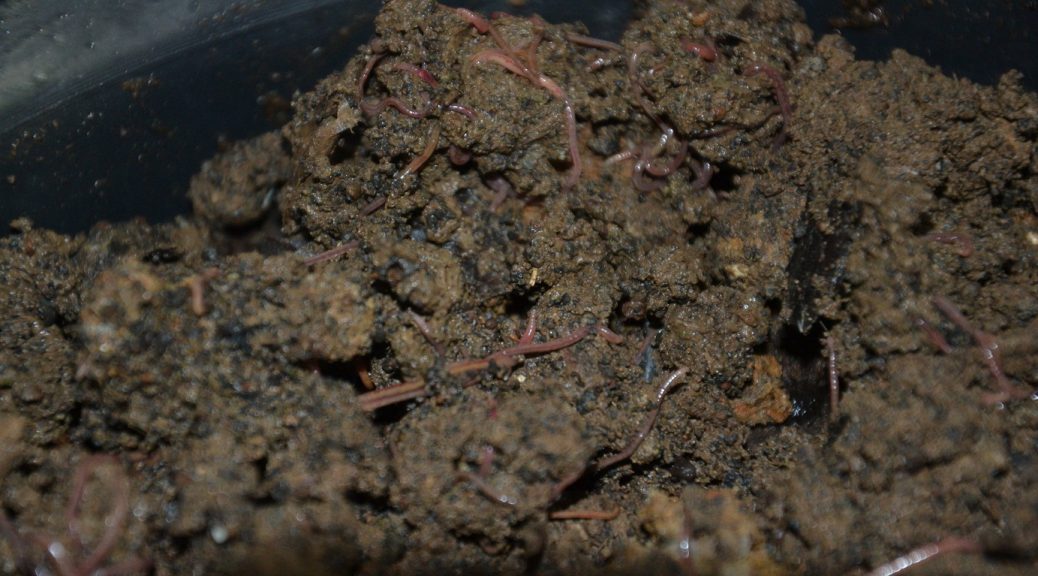 The ideal growing medium