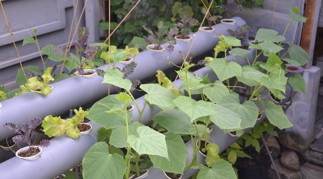 Experimental Mixed Methods