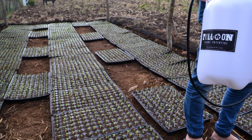 What is Biostimulant