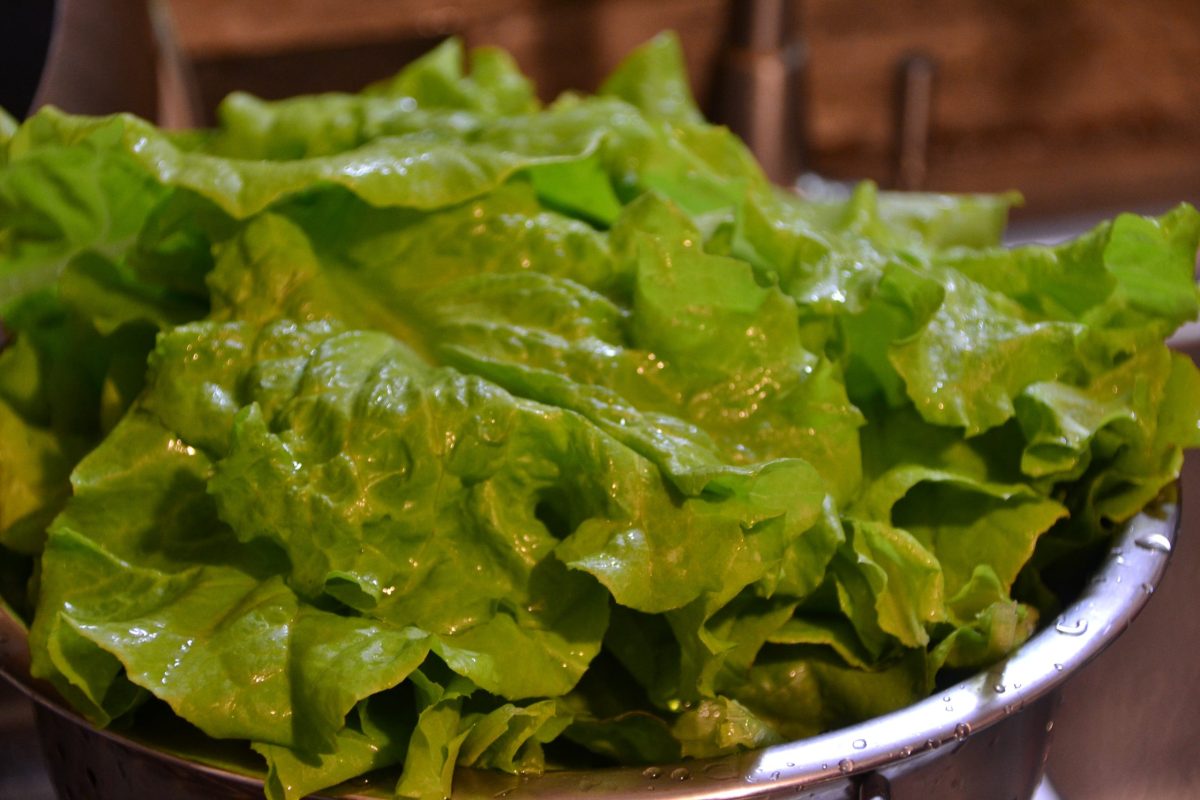 Geoponically Grown Salad Mix