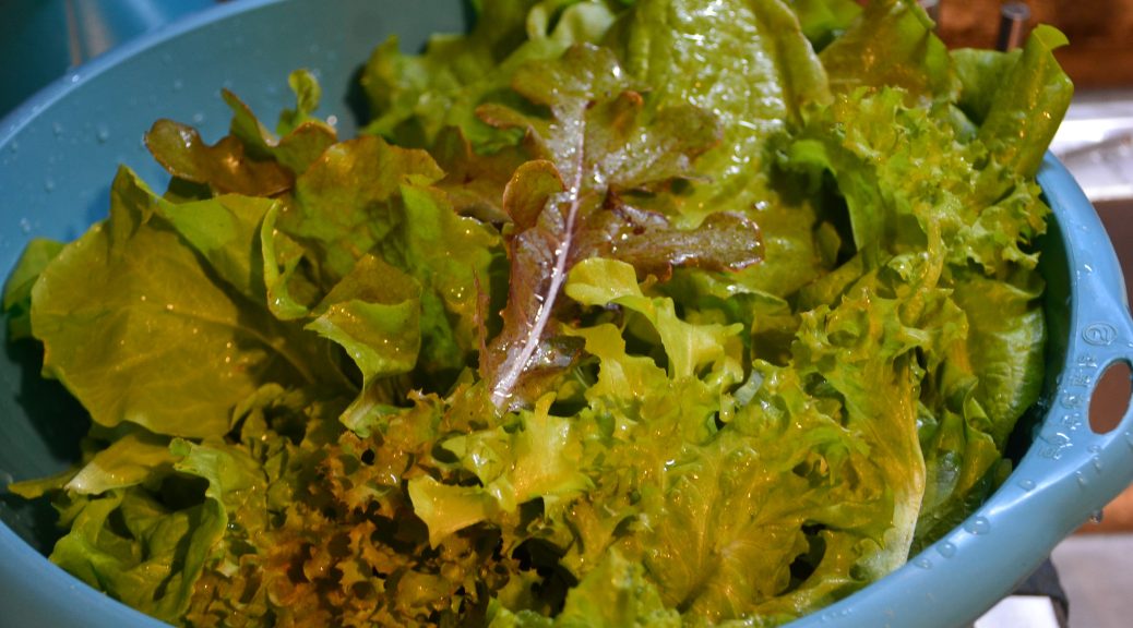 Geoponically Grown Salad Mix