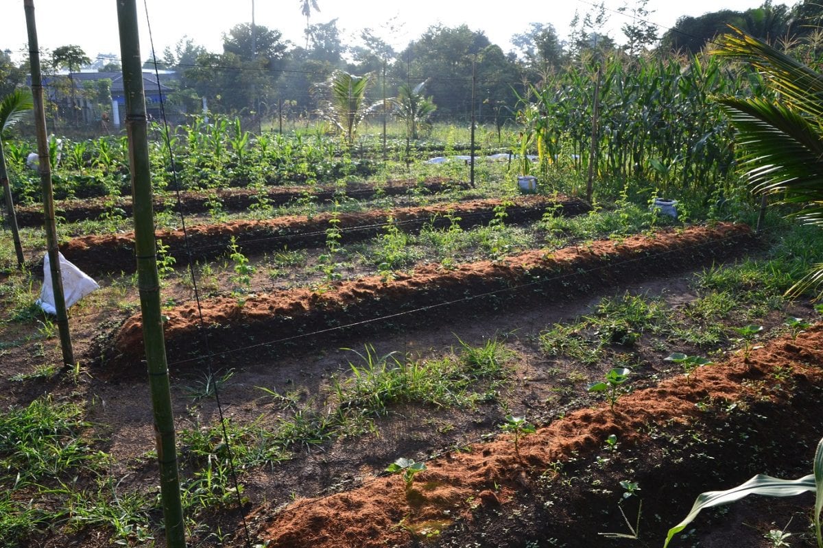 Integrated Farming Experiment