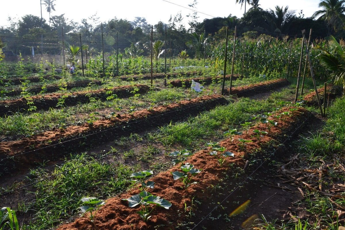 Integrated Farming Experiment